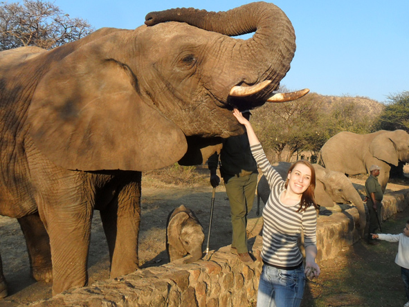 Monique Tolken - meeting elephants in Pilanesberg National Park
